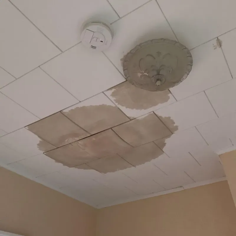 Ceiling Water Damage Repair in Porcupine, SD