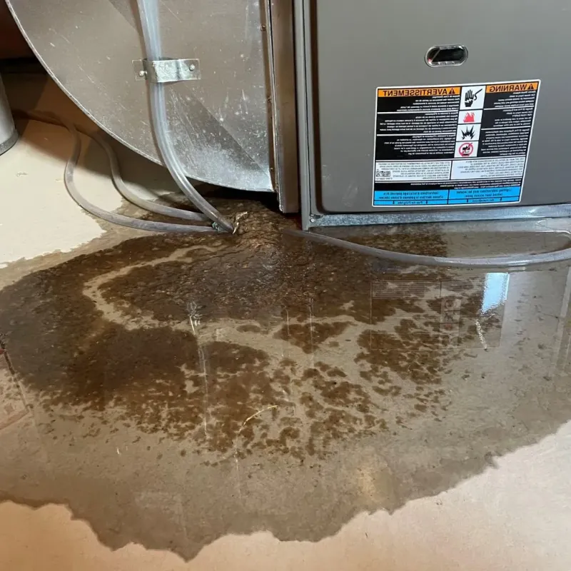 Pipe Burst and Leak Restoration in Porcupine, SD